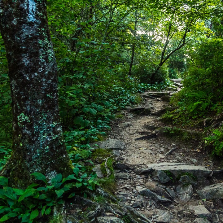 The Appalachian Trail - Voice Reels