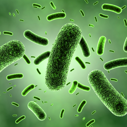 Infection Prevention - Voice Reels